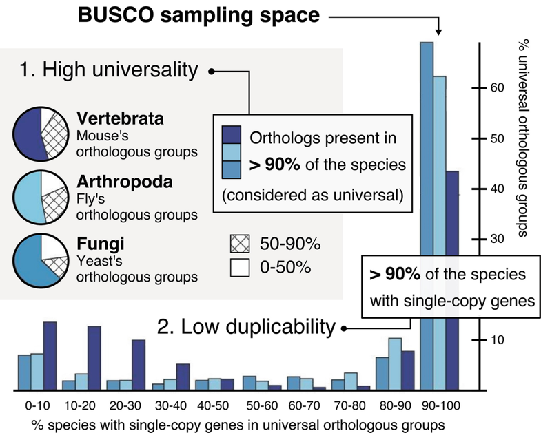 BUSCO sampling space